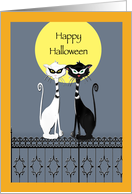 Black and White Masked Cats on a fence, Happy Halloween, blank card