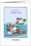 Thank you from the Tooth Fairy, loss of tooth card