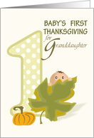 Baby Peeking Over Leaf Granddaughter First Thanksgiving card