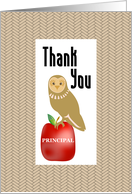 Barn Owl and Apple Thank You School Principal card