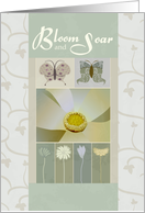 Bloom and Soar Wedding Congratulations card