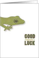 Good Luck Pomaikai Gecko card