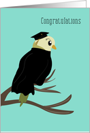 Parakeet with Graduation Cap and Robe Congratulations card