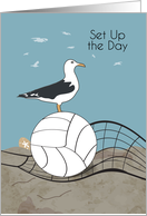 Volleyball Seagull Encouragement card