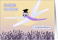 Dragonfly Pre K or Preschool Graduation card