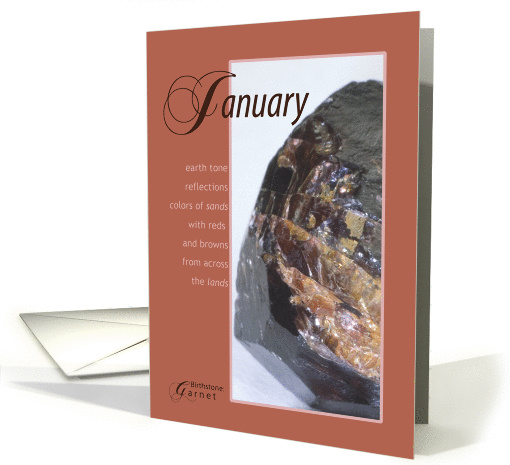 January Birthstone Birthday card (732975)