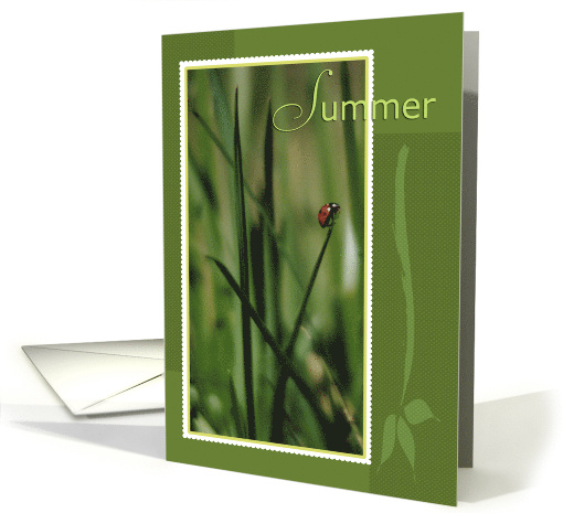 Ladybug on Grass Blade Summer Season card (752770)