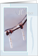 Ice Branch and Small Leaf Buds Winter Season card