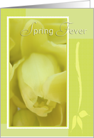 Spring Fever card