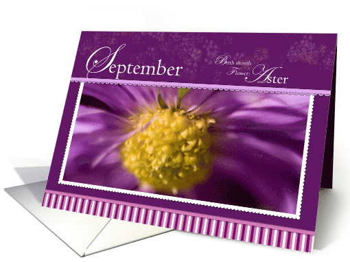 Aster September Birthday card (771086)