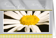 Birthday Someone Special with Daisy Flower card
