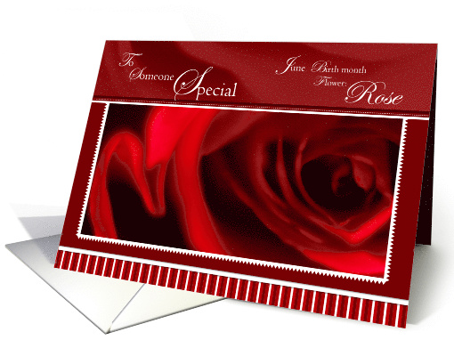 Red Rose Bud to Someone Special Birthday card (790557)