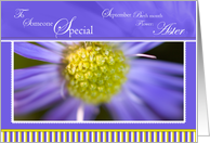 Aster Someone Special Birthday card