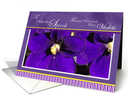 Bunch of Violets Someone Special February Birthday card (790565)