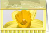 Daffodil March Birthday Someone Special card