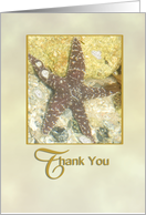 Starfish and Rocks Thank You card