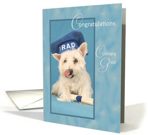 West Highland Terrier Dog Culinary Grad Congratulations card (878891)