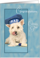 West Highland Terrier Dog Culinary Grad Congratulations card