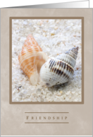 Twisted Pair Seashells Friendship card