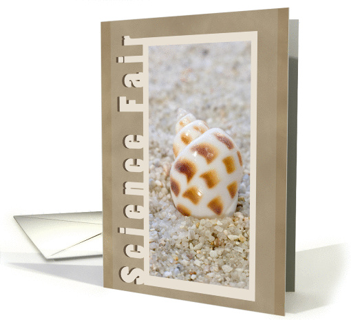 Seashell Science Fair Congratulations card (933173)
