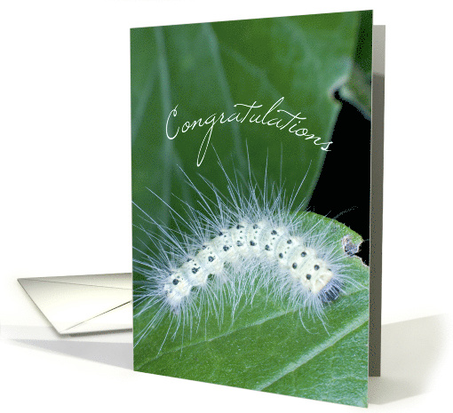 Caterpillar Science Fair Congratulations card (933201)