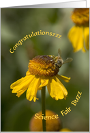 Bee on Wildflower Science Fair Congratulations card