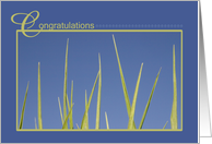 Grass Blades Science Fair Congratulations card