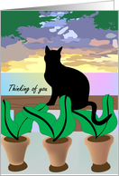 End of a Purrfect Day Thinking of You card