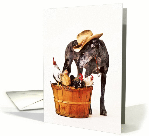 Dog Baby Sits Chickens card (735703)