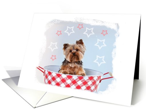 Happy 4th of July from a Cute, Patriotic Dog card (778227)