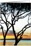 Tree Silhouette Sunset, Fraser Island card