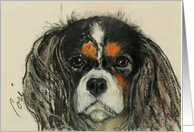 King Charles Cavalier Spaniel Dog Fine Art Blank Any Occasion card