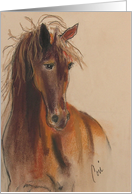 Bay Horse Fine Art Thinking of You card