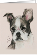 Boston Terrier Puppy Dog Art Thinking of You card