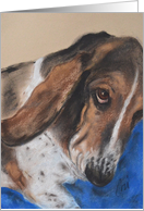 Basset Hound Dog Fine Art Thinking of You card