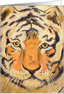 Tiger Wildlife Fine Art Blank Any Occasion card