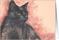 Black Cat Fine Art Blank Any Occasion card
