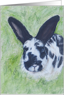 Bunny Rabbit Fine Art Easter card