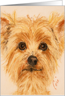 Terrier Dog Fine Art Thinking of You card