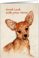 Good Luck with your Move Chihuahua Fine Art card