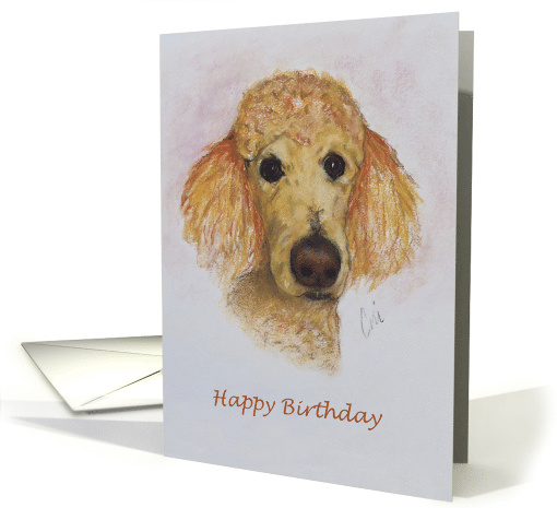 Apricot Standard Poodle Dog Fine Art Birthday card (1550592)