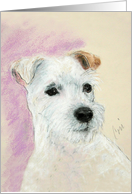 Rough Coat Jack Russell Terrier Fine Art Thinking of you card