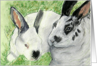Easter Holiday Bunny Rabbits card