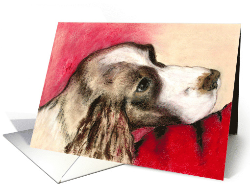 Thinking of You, Jourdan Springer Spaniel looking soulful card