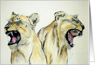 Roaring Times Lioness Wildlife Animals Blank Any Occasion card