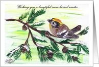 Snow Kissed bird on pine branch with snow card