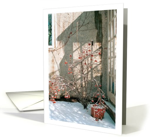 Winter Shadows, Philadelphia, PA card (746318)