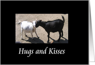 Hugs and Kisses card