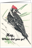 Pileated Woodpecker card