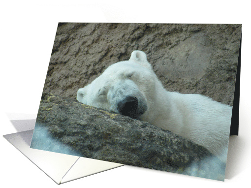 POLARBEARSLEEP card (804023)